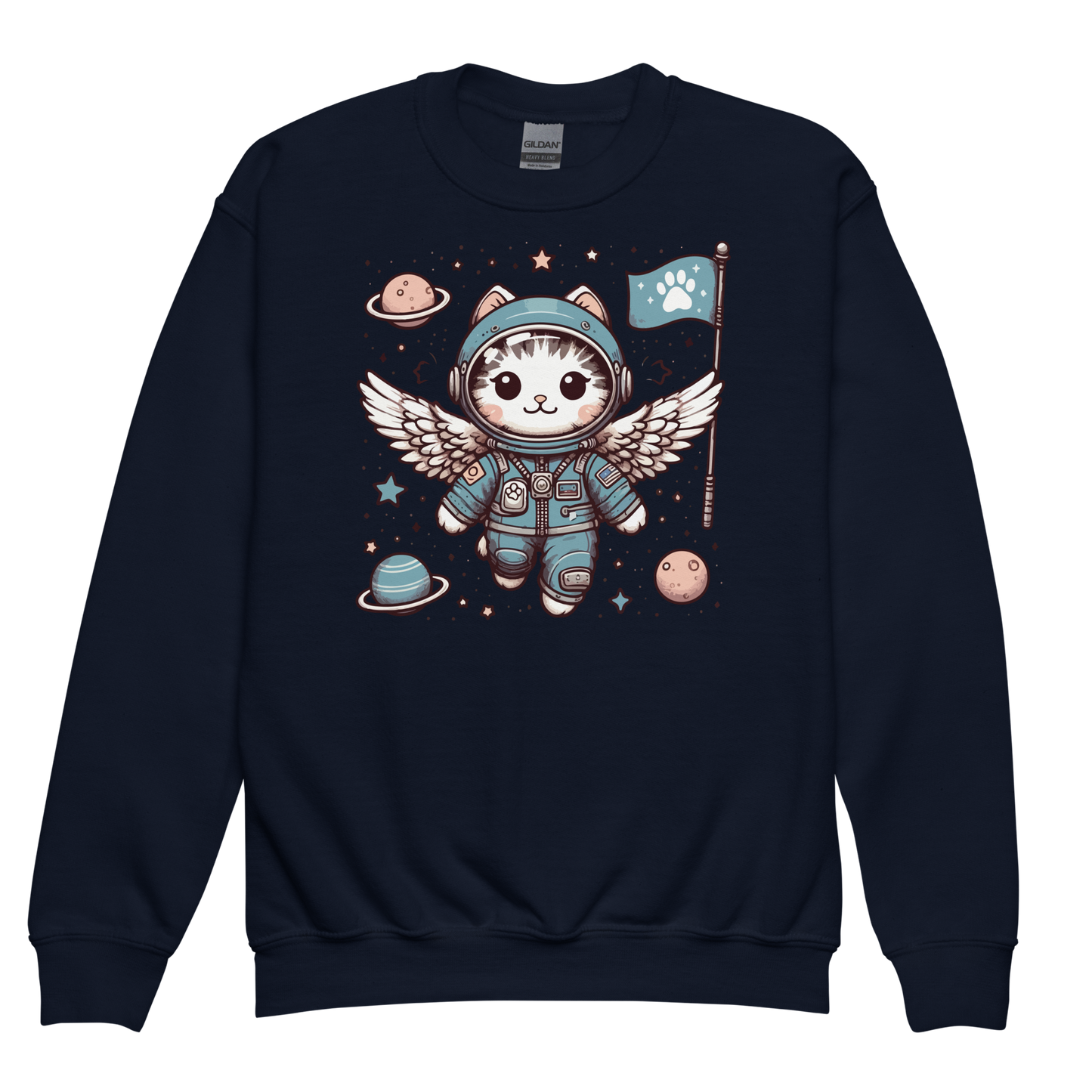 Space Kitten with Wings - Youth Sweatshirt