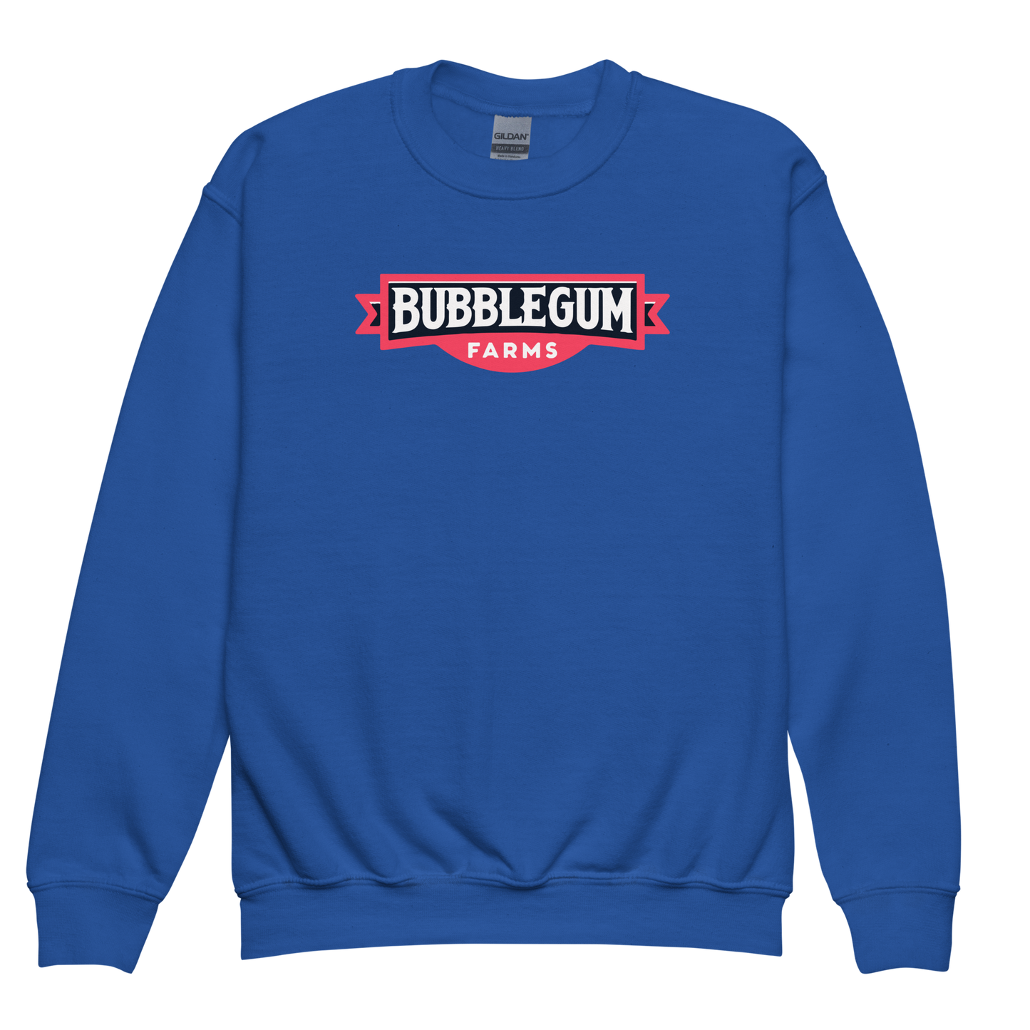 Logo Tee - Youth Sweatshirt
