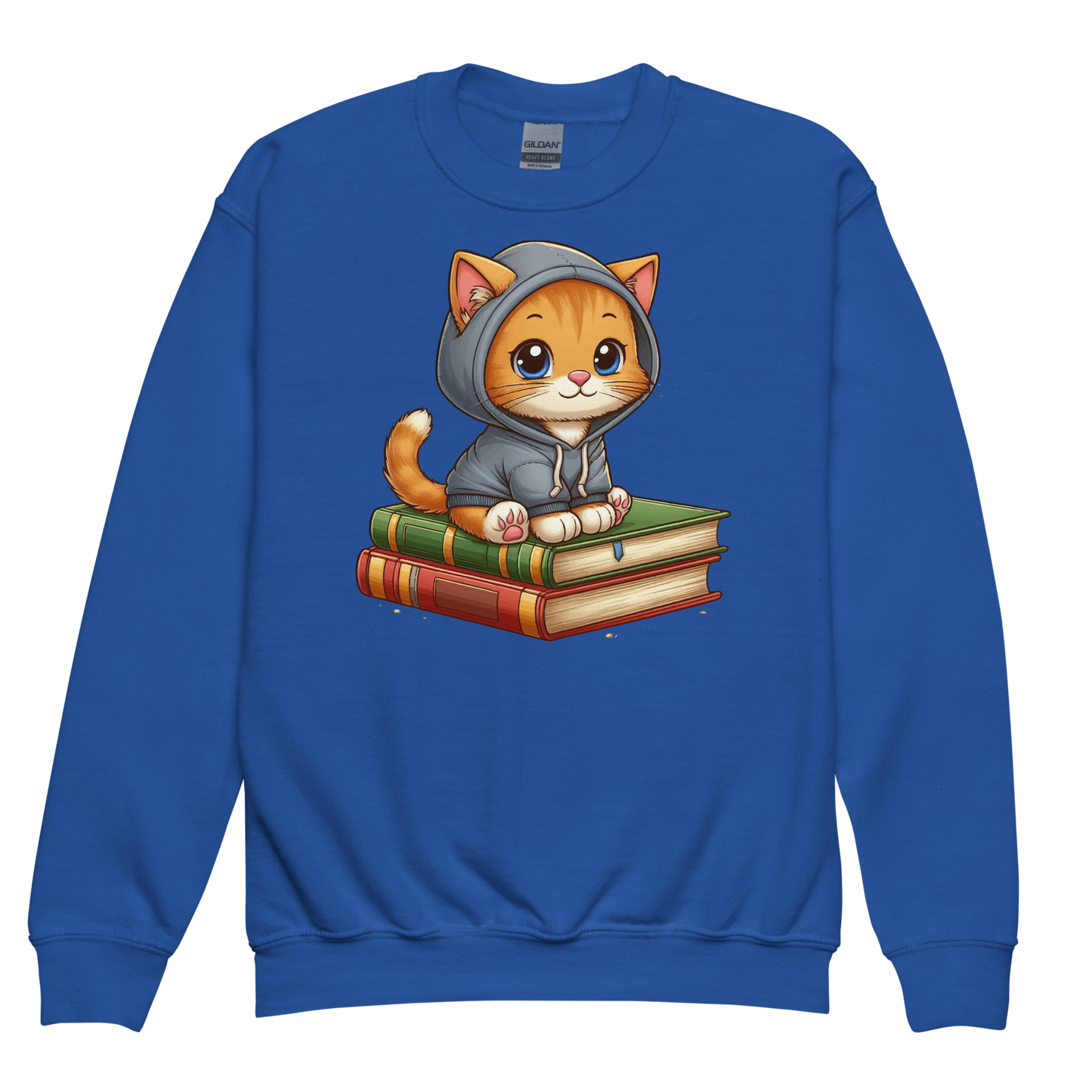 Orange Kitten - Sitting on Books - Youth Sweatshirt