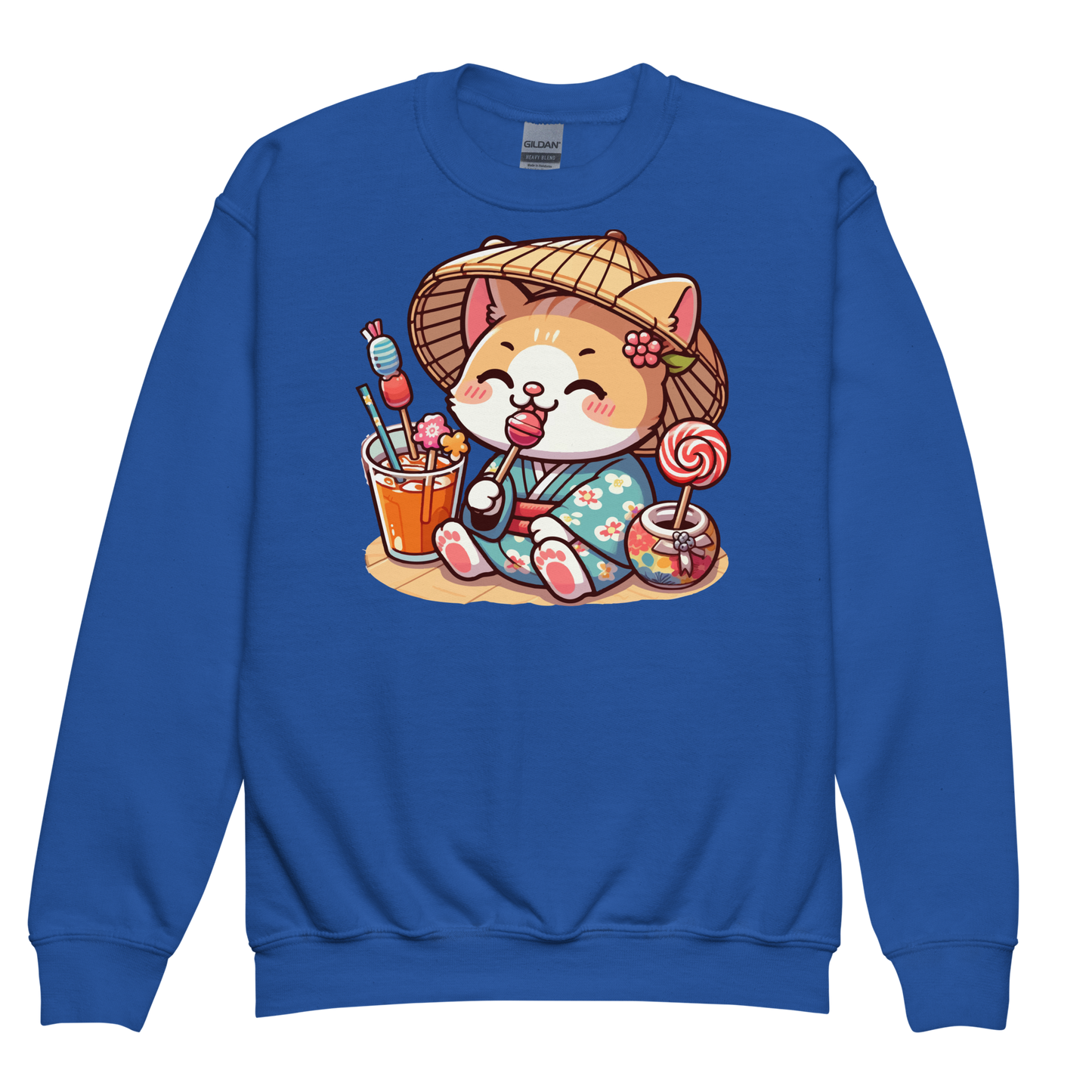 Orange Kitten in a Kimono - Youth Sweatshirt